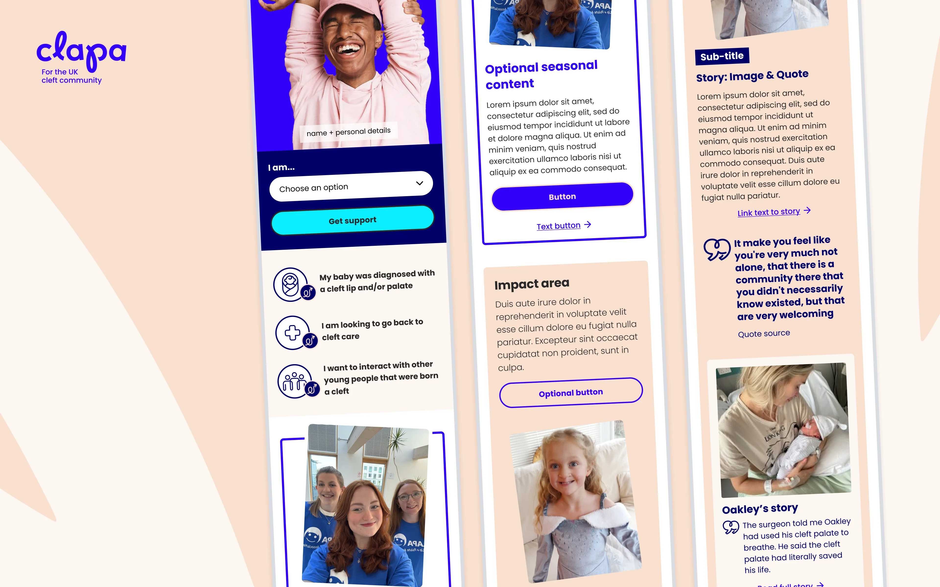Screenshot of the CLAPA UK website