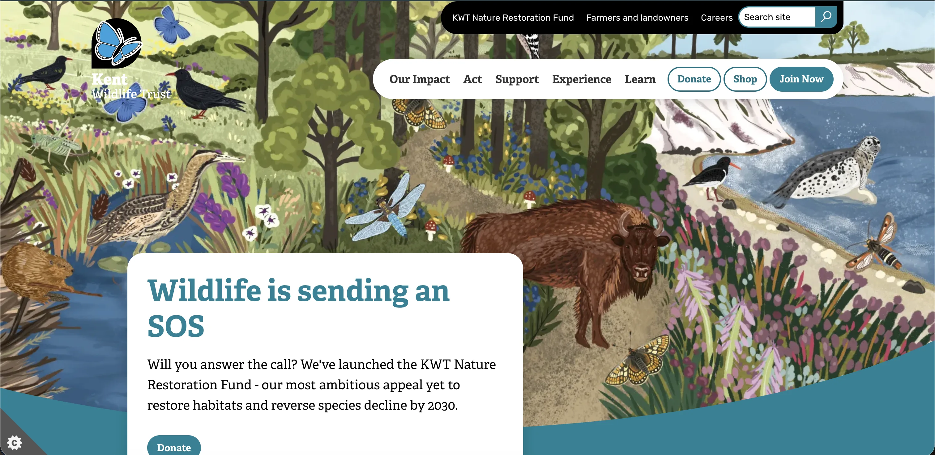 Kent website